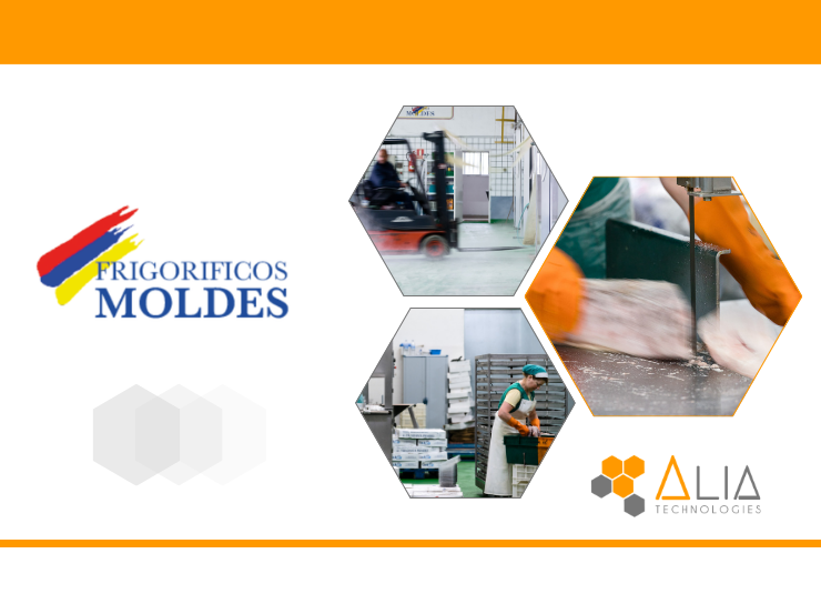 Moldes Blog2